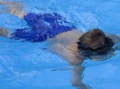 «Целитель» утопил в одесском бассейне двухлетнего мальчика