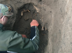 На Днестровском плацдарме поисковики обнаружили захоронение солдат