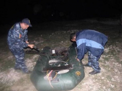 Браконьеры обстреляли сотрудников рыбоохраны в Анений Ной