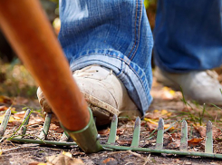 Мужчина превратил грабли в страшное орудие и изувечил женщину в Приднестровье 