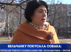 Бродячие собаки покусали женщину в Бельцах