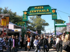 Стало известно, какая отрасль доминирует в молдавской экономике