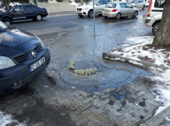 На столичной улице из-за прорыва трубы забил фонтан