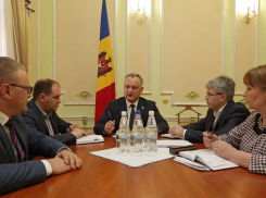 Экономический совет при Президенте РМ начнет работать в ближайшее время 