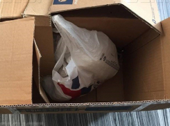 «Почта Молдовы» возложила на США вину по громкому делу «посылки с бревном»