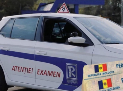 Глава ASP: более 700 водительских удостоверений будут аннулированы