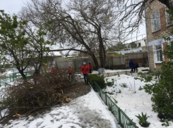 ПСРМ мобилизовала добровольцев для расчистки Комрата от упавших деревьев и проводов