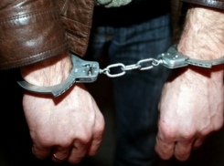 Полиция задержала группу воров-домушников, терроризировавших жителей Криулянского района 
