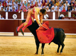 Шокирующее нападение быка на мексиканского матадора сняли на видео