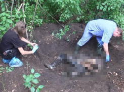 Убийца выманил одесситку из сайта знакомств и совершил жестокую расправу 