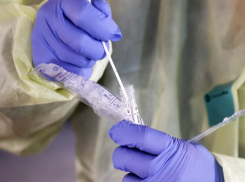Срочные тесты на коронавирус неэффективны, - чиновник