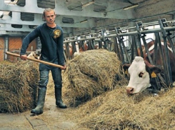 Чиновник заставил мужчину стать его рабом на ферме в Каушанах 