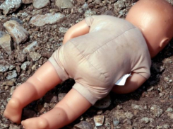 В Хынчештском районе на сельской свалке нашли тело младенца