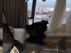 В Молдове ликвидирована сеть нелегальных онлайн-казино с оборотом 25 миллионов леев