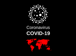 Срочно! В Молдове выявлены 83 случая COVID-19