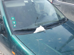 Сюрприз в виде памперса с детской неожиданностью получил автохам в Кишиневе 