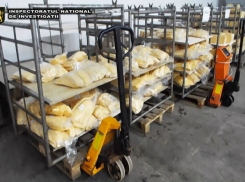 В Сороках полтонны испорченного сыра готовились переработать и продать