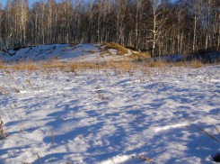 Страшная находка в Гидигиче: пропавшего без вести мужчину нашли повешенным в лесу 