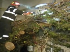 Нанесшую сокрушительный удар по румынской столице стихию показали на видео