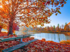 Погода в Молдове: в пятницу будет аномально жарко для конца октября 