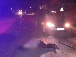 Около 500 пешеходов были оштрафованы за незаконный переход улицы