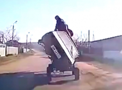 Забавный «непарнокопытный эвакуатор» в Оргеевском районе сняли на видео