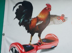 «Беспощадный» петух на гироскутере со спиннерами насмешил жителей столицы Молдовы