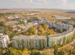 Шок: в Бельцах, во дворе жилых домов, освежевали собаку