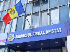 Льготы за 2024 год: Как получить освобождение от налогов