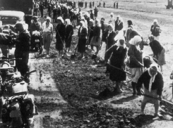 Либералы Гимпу опозорились с фейковыми фото депортаций