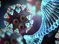 +1470 новых случаев COVID-19 за сутки