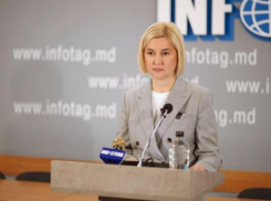 Заявление Ирины Влах о необходимости подписания оппозицией пакта о ненападении на президентских выборах