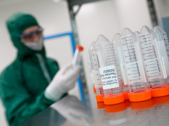 Молдова вошла в ТОП-15 стран с низкой долей смертей от коронавируса