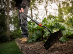 Смертельное избиение мужчины мотыгой совершил разъяренный рабочий в Бричанском районе