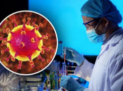 Срочно! +655 новых случаев COVID-19 за выходной 