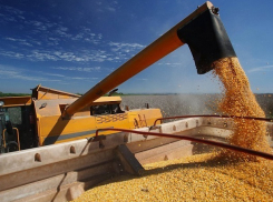 Сухогруз с молдавской кукурузой заблокировали в американском порту  