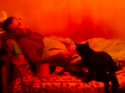 «Политические проститутки» Нэстасе, Санду и Усатый вынудили жителя Бельц атаковать парламент Молдовы