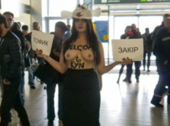Обнаженной грудью протестовала против секс-туров активистка Femen в образе овцы
