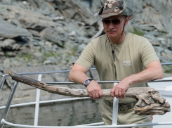 Путин поймал щуку, а Порошенко - белочку: россияне посостязались в остроумии