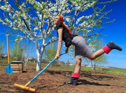 В субботу в Молдове будет тепло и солнечно  