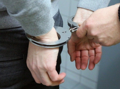 Задержаны 321 человек, находящихся в розыске