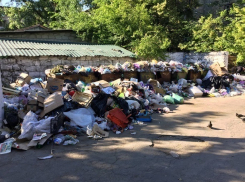 «Мерзко пахнущие» горы мусора в Кишиневе запечатлели возмущенные горожане