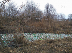 В Кишиневе состоится субботник по очистке реки Бык от бутылок и другого мусора 