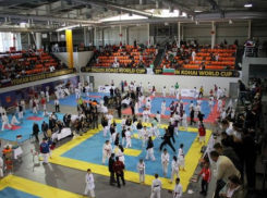 Конфликт между Минобразования и Федерацией каратэ-до перешел в прокуратуру