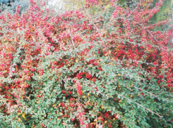 На Молдову идет похолодание – погода на четверг 