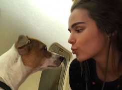 Секс-бомба Ксения Дели показала львицу и собак, которые ей подарил миллиардер