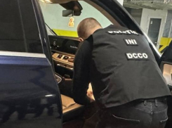 Сотрудники INI ликвидировали сеть мошеннических схем с криптовалютами