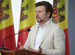 Перчун признал, что Ион Антонску - военный преступник
