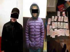 Столичных карманников, укравших у девушки кошелек в 123-й маршрутке, поймали с поличным