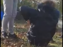 Полиция установила личность молодого садиста, избившего на камеру несовершеннолетнюю